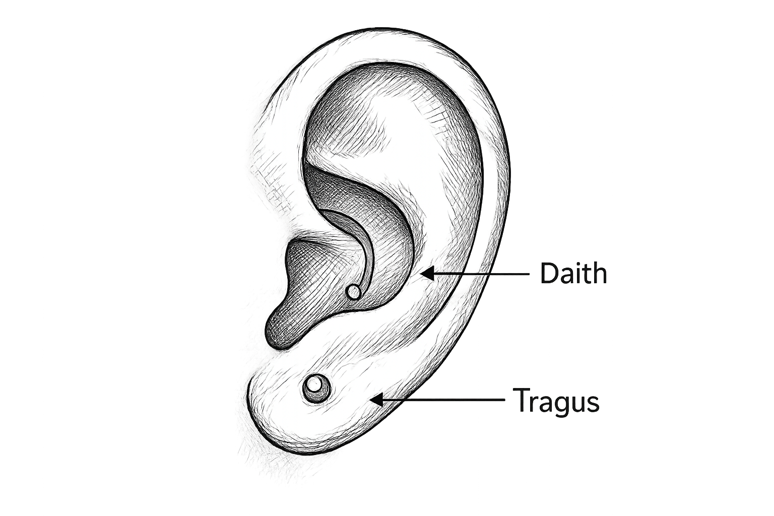 piercing daith et tragus